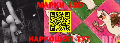 гашик Боровичи