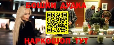 гашик Боровичи