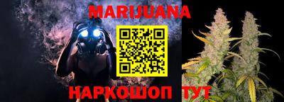 гашик Боровичи