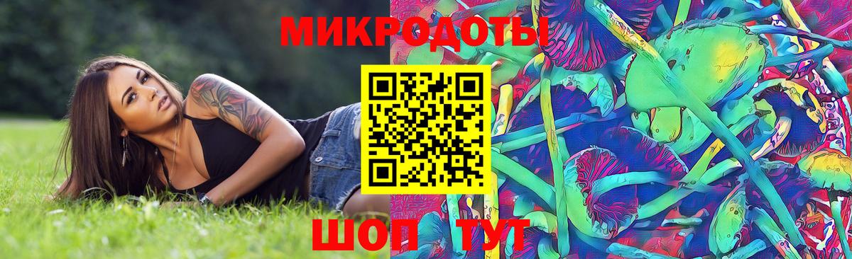 Галлюциногенные грибы Cubensis Барнаул